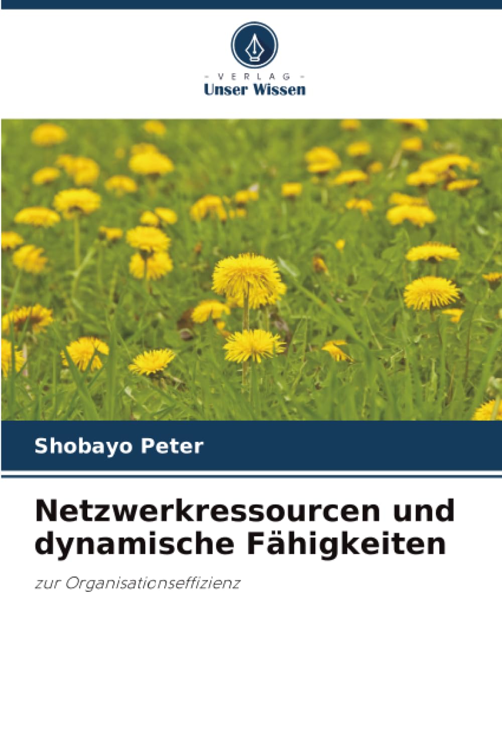 Netzwerkressourcen und dynamische Fähigkeiten: zur Organisationseffizienz