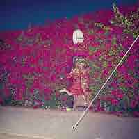 FEIST / PLEASURE レアアルバム FEIST / PLEASURE レアアルバム