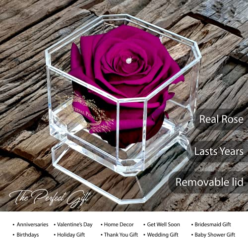 A 100% Real Rose That Lasts Years - Eternal Petals, Handmade in UK - Preserved Infinity Flower - Gold Solo with A Clear Crystal (Plum) - Image 2