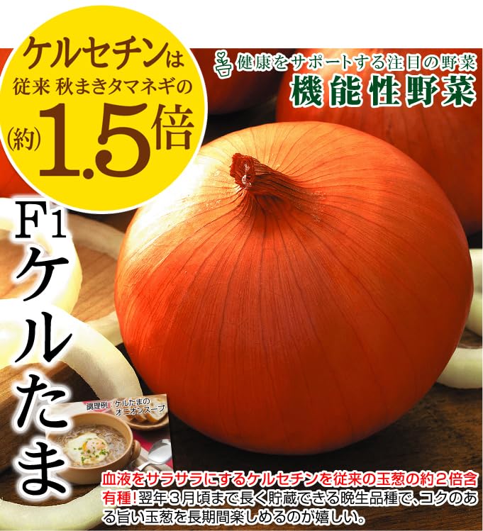 Amazon.co.jp: 玉ねぎ苗（中晩生）F1ケルたま（R） 50本 / 国華園 24