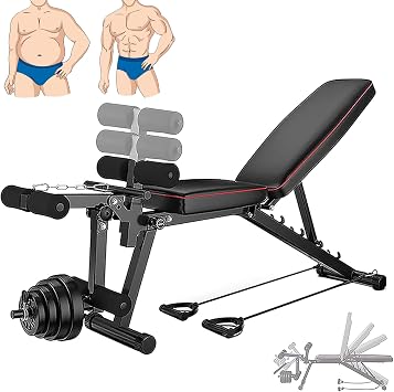 Ab Exercise Bench Abdominal Workout Machine Foldable Sit Up Bench, Adjustable Weight Bench with Leg Extension, Incline Decline Flat 90 degree Fitness Bench Dumbbell Weight Lifting Full body Exercise