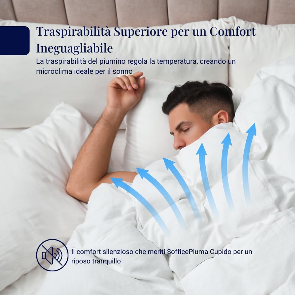SofficePiuma - Daunex Piumino Letto 5 Punti Calore, Art ROMEO, Piumone Singolo, 340gr/mq (250x200 Matrimoniale standard)