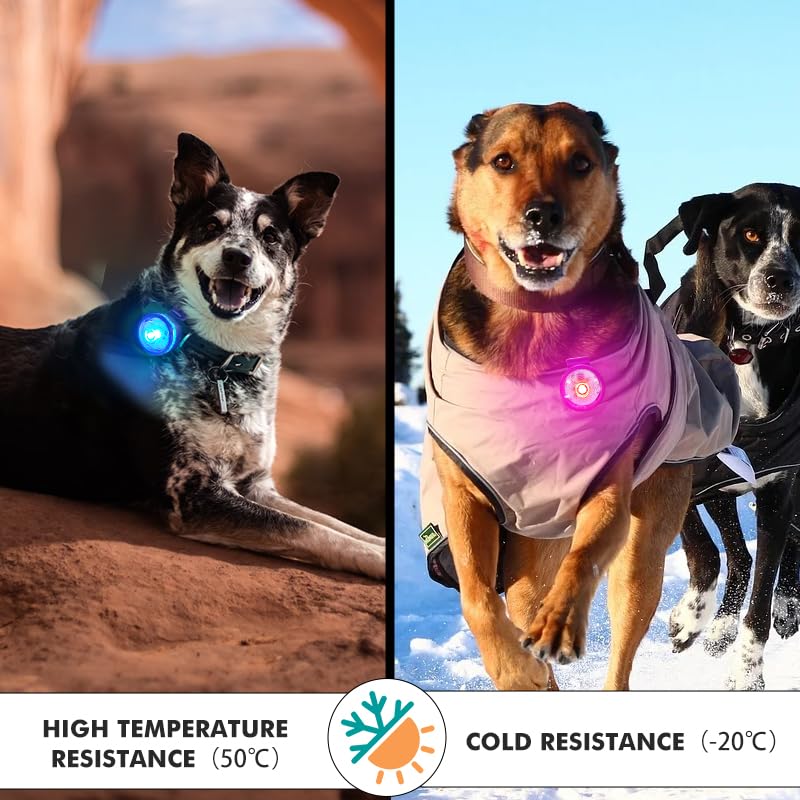 UMIONE LED-Hundehalsband Regenbogenlicht & Reflektierend – Wasserdichtes Sicherheitshalsband mit Silikonband für Hunde – Nachtsichtbarkeit, Langlebig & Sichtbar bei Dunkelheit
