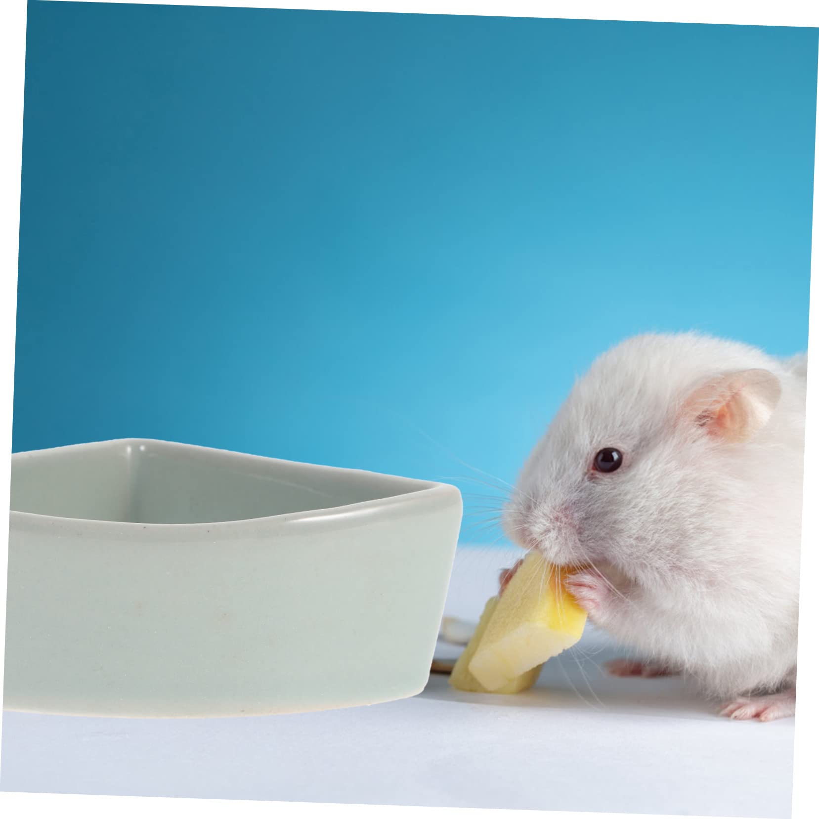 Sosoport Ciotola in Ceramica per Criceti e Orsacchiotti Dorati, Adatta per Cibo Asciutto e Fresco, Resistente al Morso, Design Anti-ribaltamento per Piccoli Animali