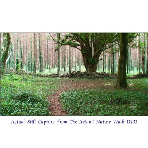 Ireland Nature Walk Treadmill Scenery DVD