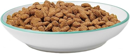 Miniatura 4 de PetRageous 13056 Bubble Fish - Plato de cerámica para gatos o perros, apto para lavavajillas, 5 pulgadas de diámetro, 1 pulgada de alto, capacidad