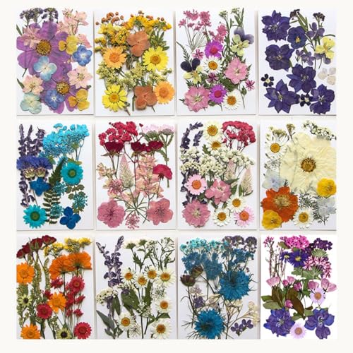 216 piezas Flores prensadas secas para manualidades miniatura 1