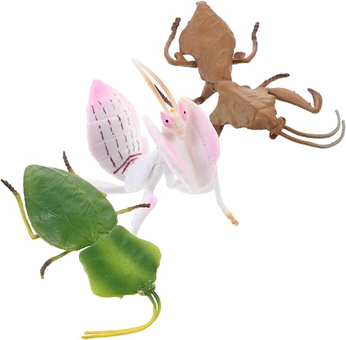 TOYANDONA 3 unids plástico plástico juega juguetes de escritorio realista simulación modelo simulación modelo pequeño Mantis decoración animal
