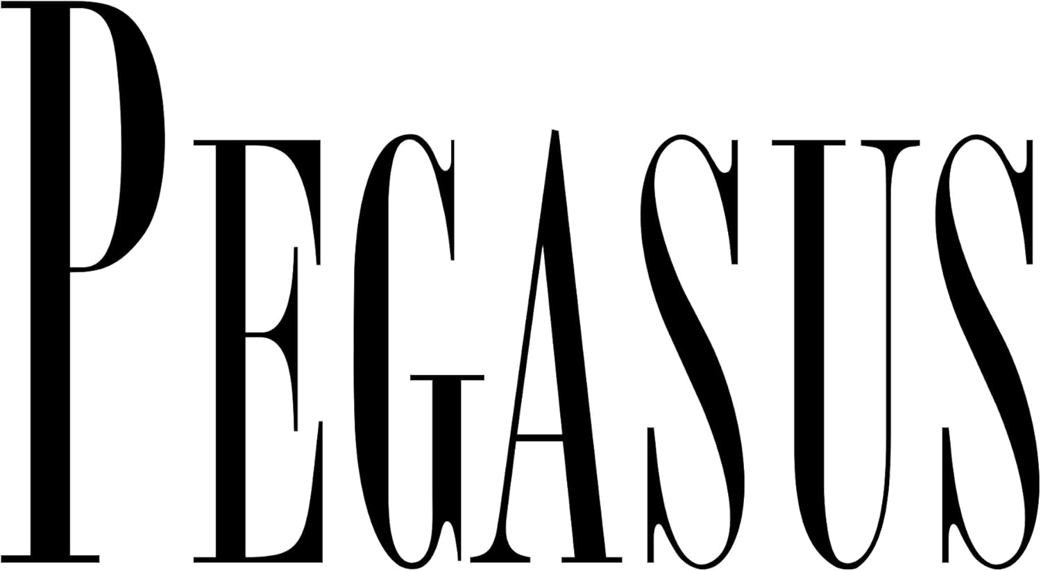 Grunwerg Pegasus Food Turner Spatula Scraper Grill Pancakes, High Quality Japanese Design 18/10 Stainless Steel BPA Free Plastic Handle, 29 cm x 8 cm x 2 cm