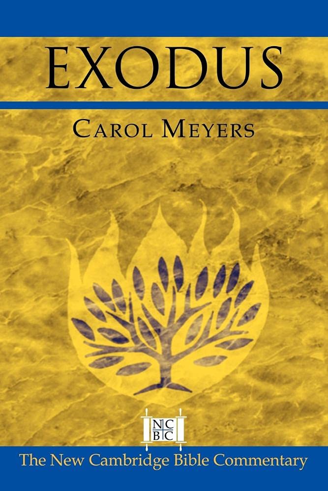 Exodus (New Cambridge Bible Commentary)