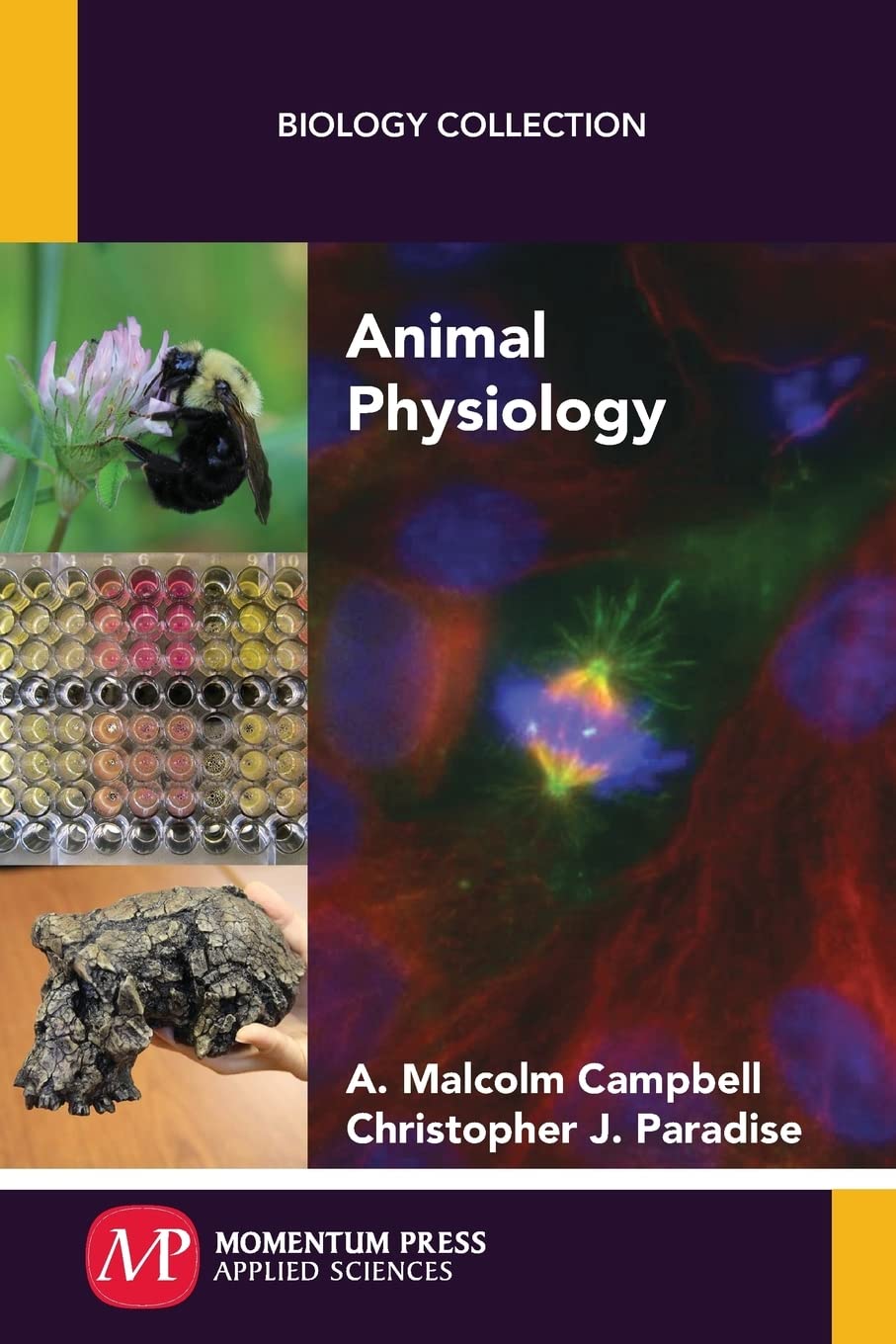 Buy Animal Physiology (Biology Collection) — BookShops.in