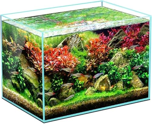 LIVIA XNGAKXe퓧 {gNAKX fXNgbv rOANAXP[vGR^NGR^NGR^N  rOANAEKXANAE (35*20*22cm)