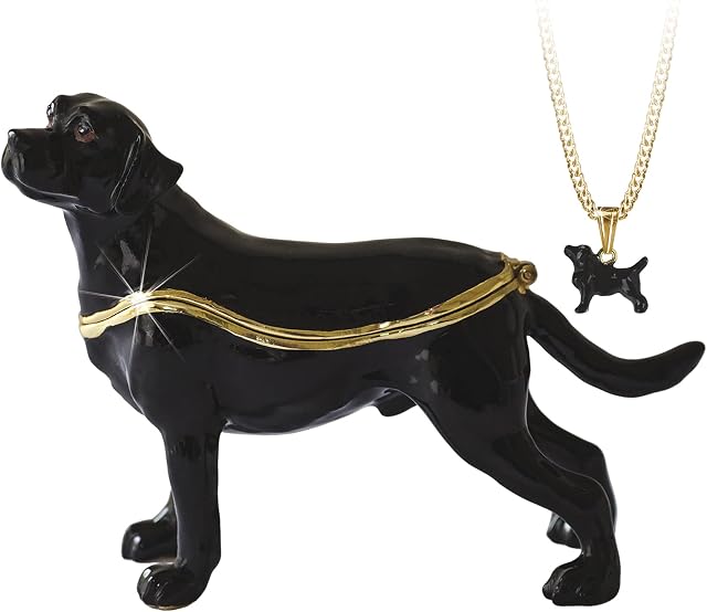Secrets from Hidden Treasures 1093 Black Labrador Trinket Box, Length 10cm