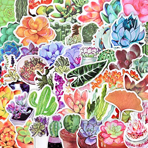 50 Pcs Cute Succulent Stickers Cactus and Succulent Plants Stickers for Laptop Water Bottles Scrapbook Bullet Journals Phone Cases Waterproof Vinyl Stickers Watercolor Cactus Planners Sticker Decals