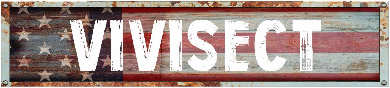 VIVISECT 8" American Flag Patriotic Rectangle Weathered Painted Metal Rustic Look Magnet for use on Any Steel Surface