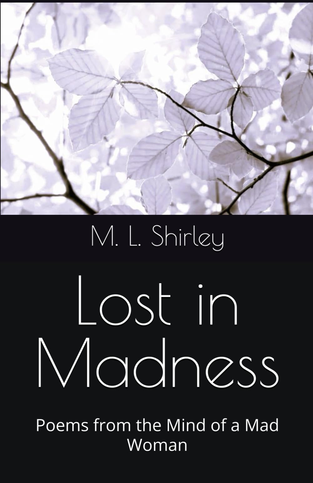 Lost in Madness: Poems from the Mind of a Mad Woman