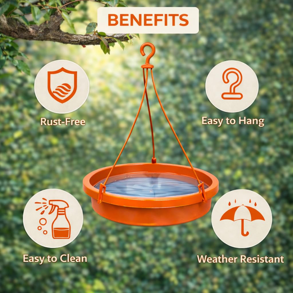 2 Bird Feeders & Bath - Balcony Garden -6