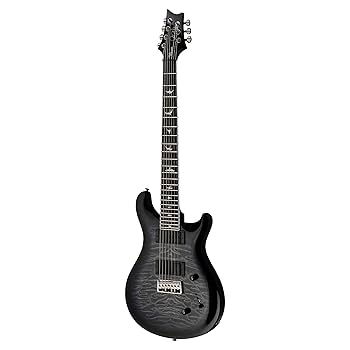 Amazon.com: PRS Paul Reed Smith SE Mark Holcomb SVN, Holcomb