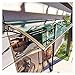 Marquesina para Puertas y Ventanas Oofing Toldos, Toldo Puerta, Ventana De La Puerta Del Pabellón Curvado De Aluminio Rígido De Plástico De Policarbonato Fija Al Aire Libre Toldo UV De Agua De Lluvia