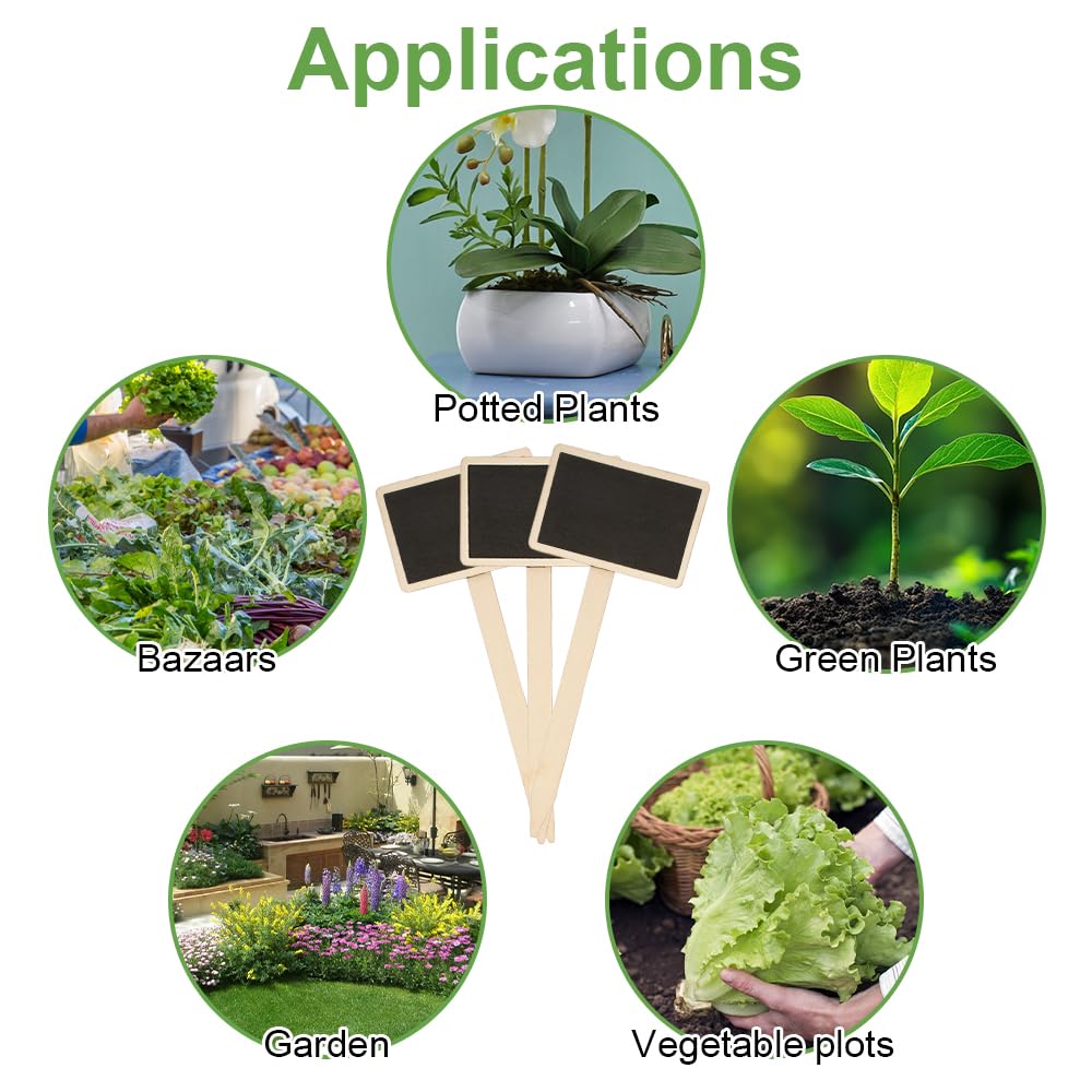 30 Stuks Zwarte Houten Plantlabels T-type – 15x6 Cm, Waterbestendig, Herbruikbaar, Perfect Voor Tuin, Kruiden, Zaden, Bloemen & Meer