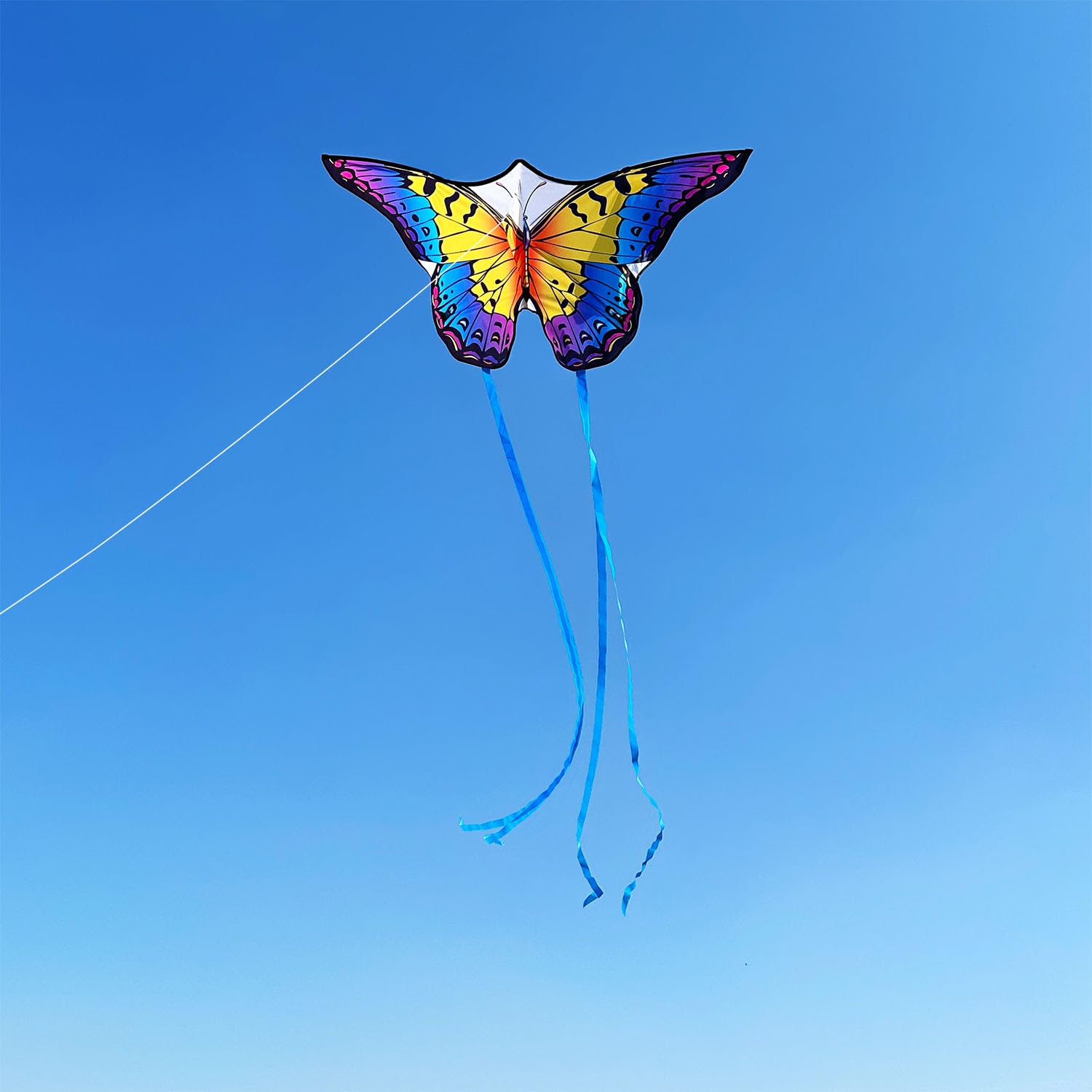 HONBO Aquilone a farfalla per bambini e adulti, 139,7 x 71,1 cm, grande aquilone per principianti per bambini dai 4 agli 8 anni, aquilone facile da far volare per principianti, aquiloni da spiaggia