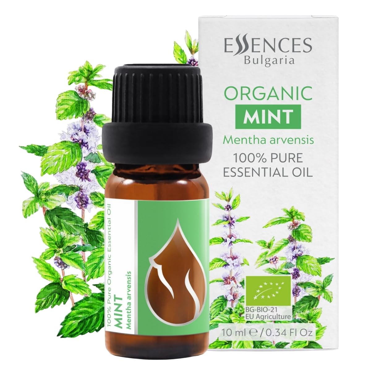 Essences Bulgaria Organic Mint Essential Oil 10ml | Mentha arvensis | 100% Pure and Natural | Undiluted | Therapeutic Grade | Family Owned Farm | Steam-Distilled | Non-GMO | Vegan