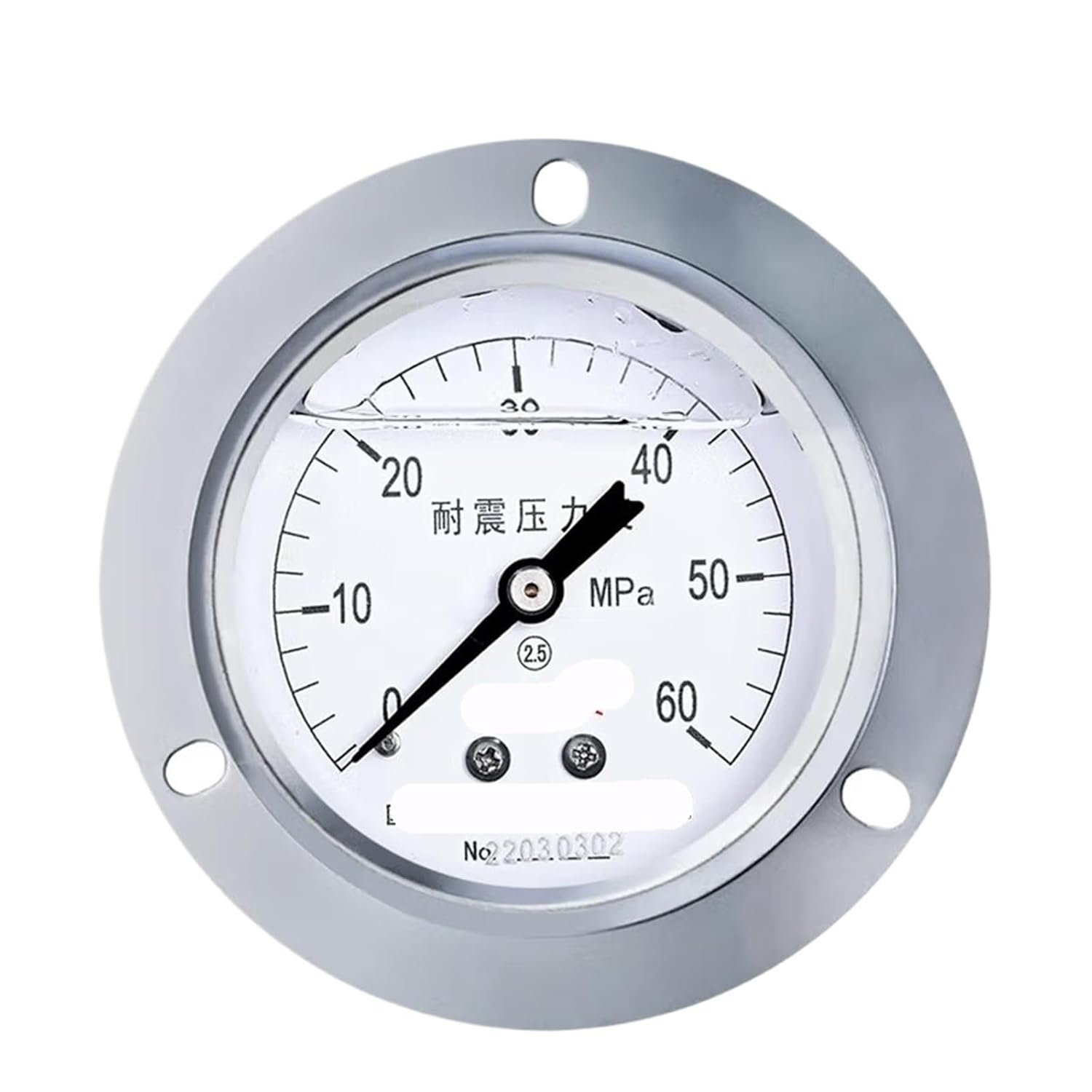 YTN-60ZT Earthquake-Resistant Vacuum Pressure Gauge 60mm axial 2.5-Level Pointer Vacuum Gauge Oil Pressure Gauge Water Pressure Gauge 0-6mpa(0-1mpa)