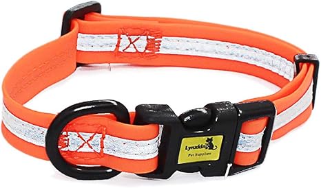 Non stink dog collar Clearance