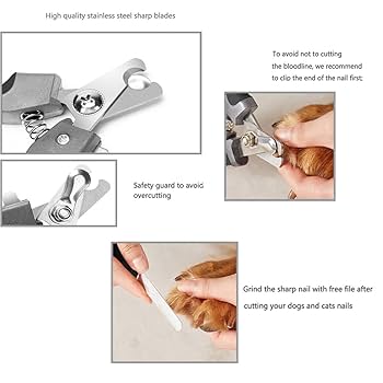 犬の爪切り、ペットのためのプロのグルーミングツール安全で使いやすい安全ガード付き Amazon | サンダーパウズ ペット用爪切りトリマー 中型犬/大型犬