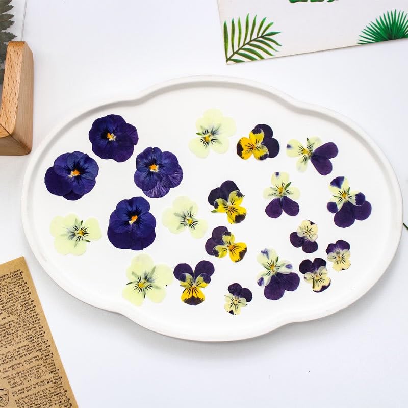 48 flores comestibles prensadas naturales para manualidades miniatura 5