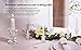 Letine Candlestick Holders Set of 12-2.5
