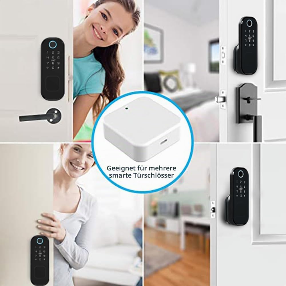 Wolf Guard TT01 Intelligentes Türschloss Biometrischer Fingerabdruck