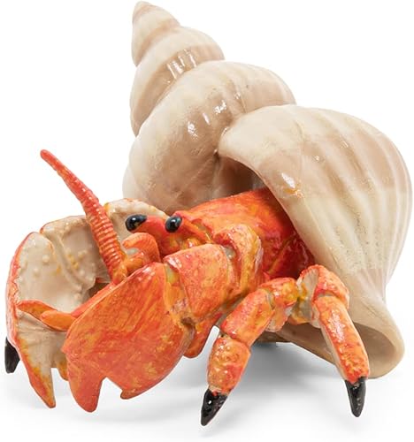 Miniatura 7 de Papo - Figurine Cangrejo Ermitaño Realista - A partir de 3 años - Pintado a mano - Colección Mundo Marino - Idea de regalo para niños y niñas -
