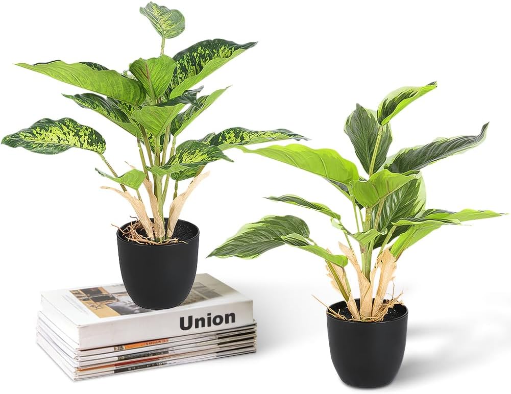 Pack of 2 Artificial Plants Like Real 37 cm Artificial Plants Artificial Plastic Decorative Plant in Pot Like Real Fake Plant Dieffenbachie Artificial Plants for Table Office Kitchen Bath Decoration Artificial Artificial Plants Indoor Office Desk Bedroom Kitchen Bathroom Home Decor