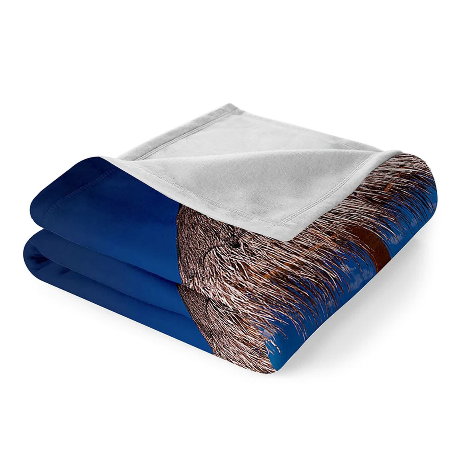 Aeici Koc polarowy, koc polarowy 150 x 200 cm leżak plażowy narzuta na sofę do salonu sofa łóżko