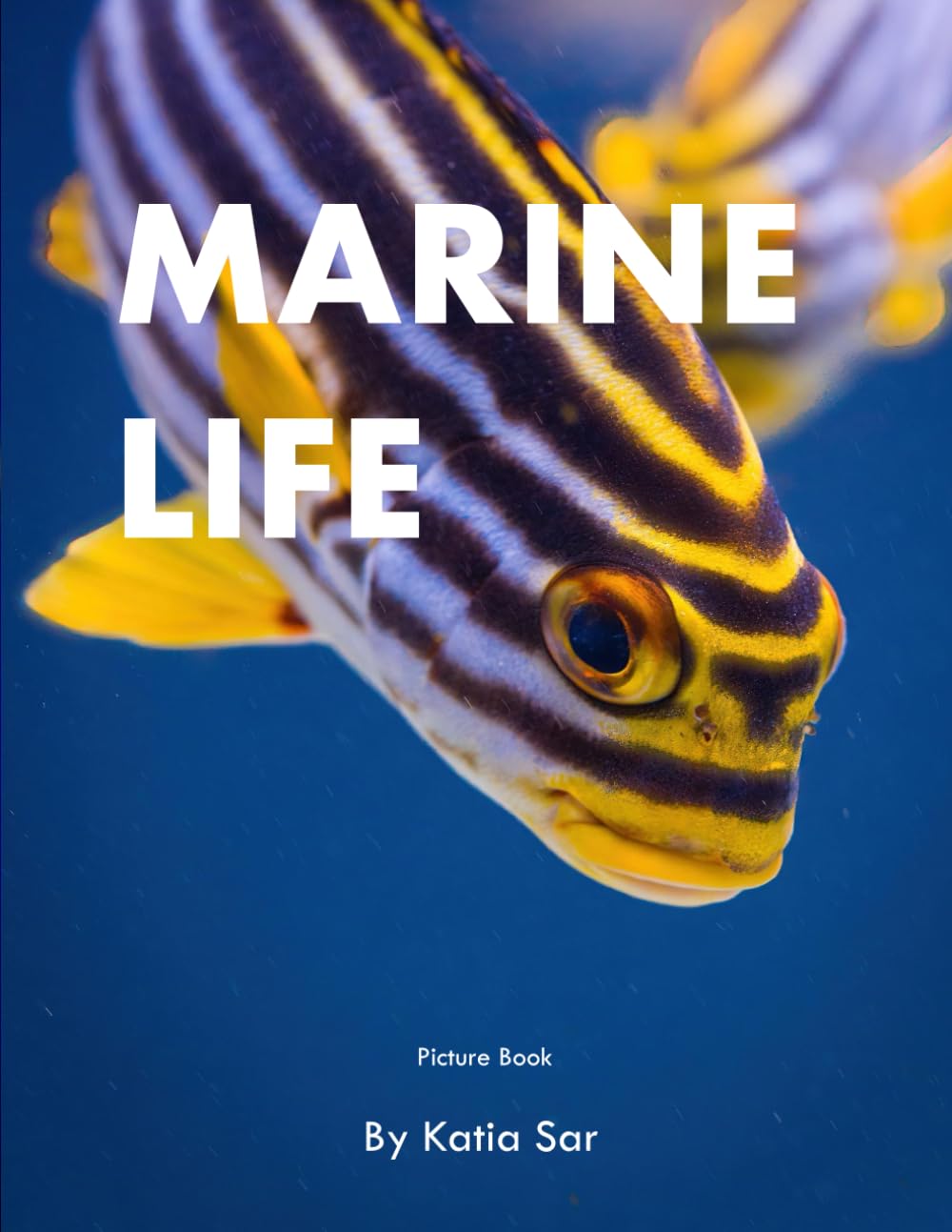 Marine Life: A perfect Coffee Table Picture Book - For Marine Life Lovers and ocean enthusiasts