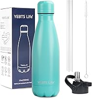Vista 44 de Botella de Agua Aislada, Paquete de 2-17oz Botellas de Agua de Acero Inoxidable con Tapa de Pajita, Botellas de Agua Deportivas de Metal para Niños