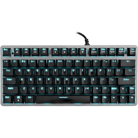Velocifire Tenkeyless Mechanical Keyboard Mini, 78-Key Compact Ergonomic, Outemu Brown Switches Backlit and Double-Shot ABS Keycaps for Copywriter, Typist and Programmer