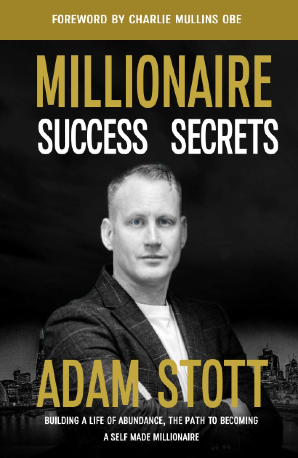 Millionaire Success Secrets