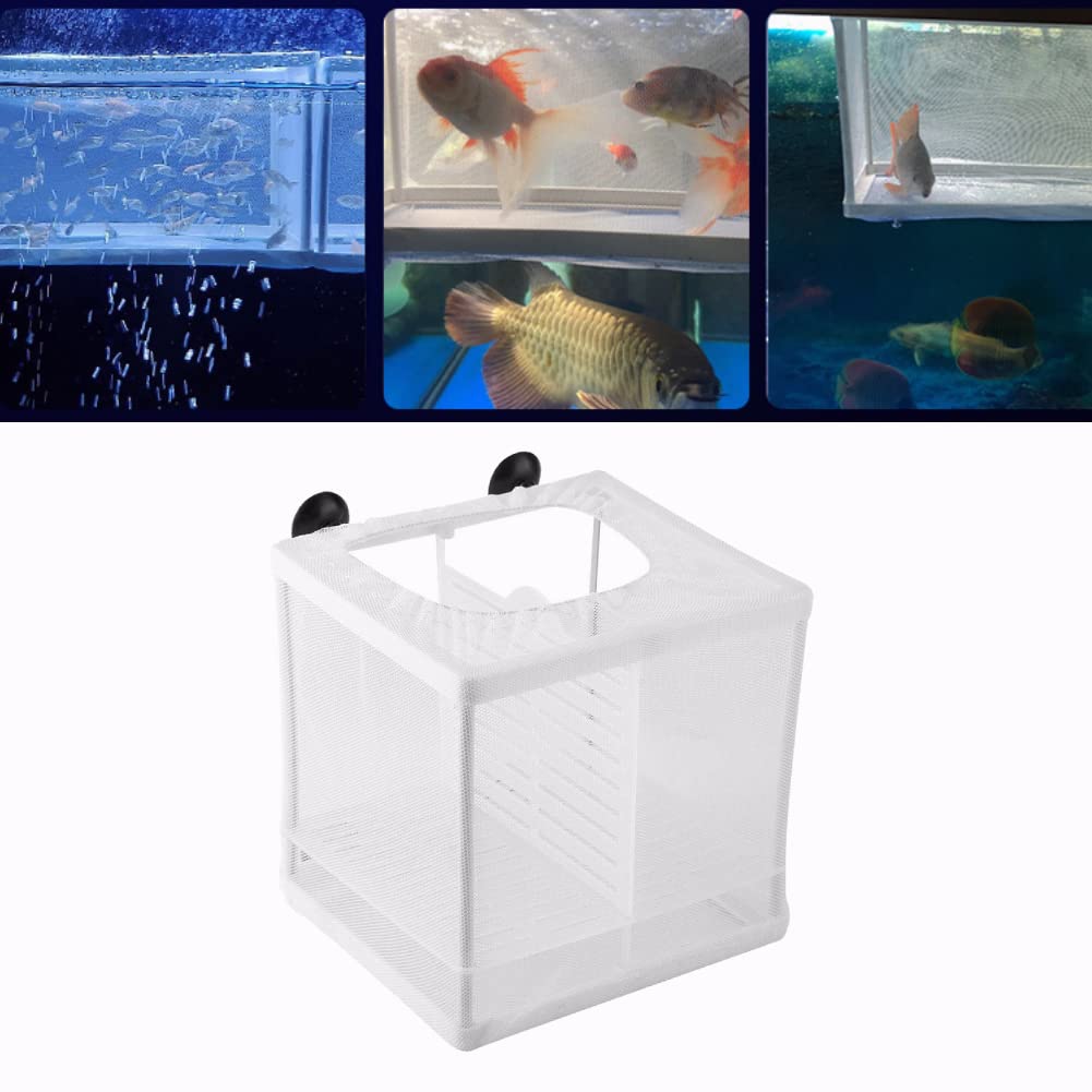 Fish Incubator Mesh Box Fish Isolation Box Aquarium Fish Breeding Box Fish Breeder Net Fry Hatchery Incubator Aquarium Divider Mesh with Suction Cup Isolation Board