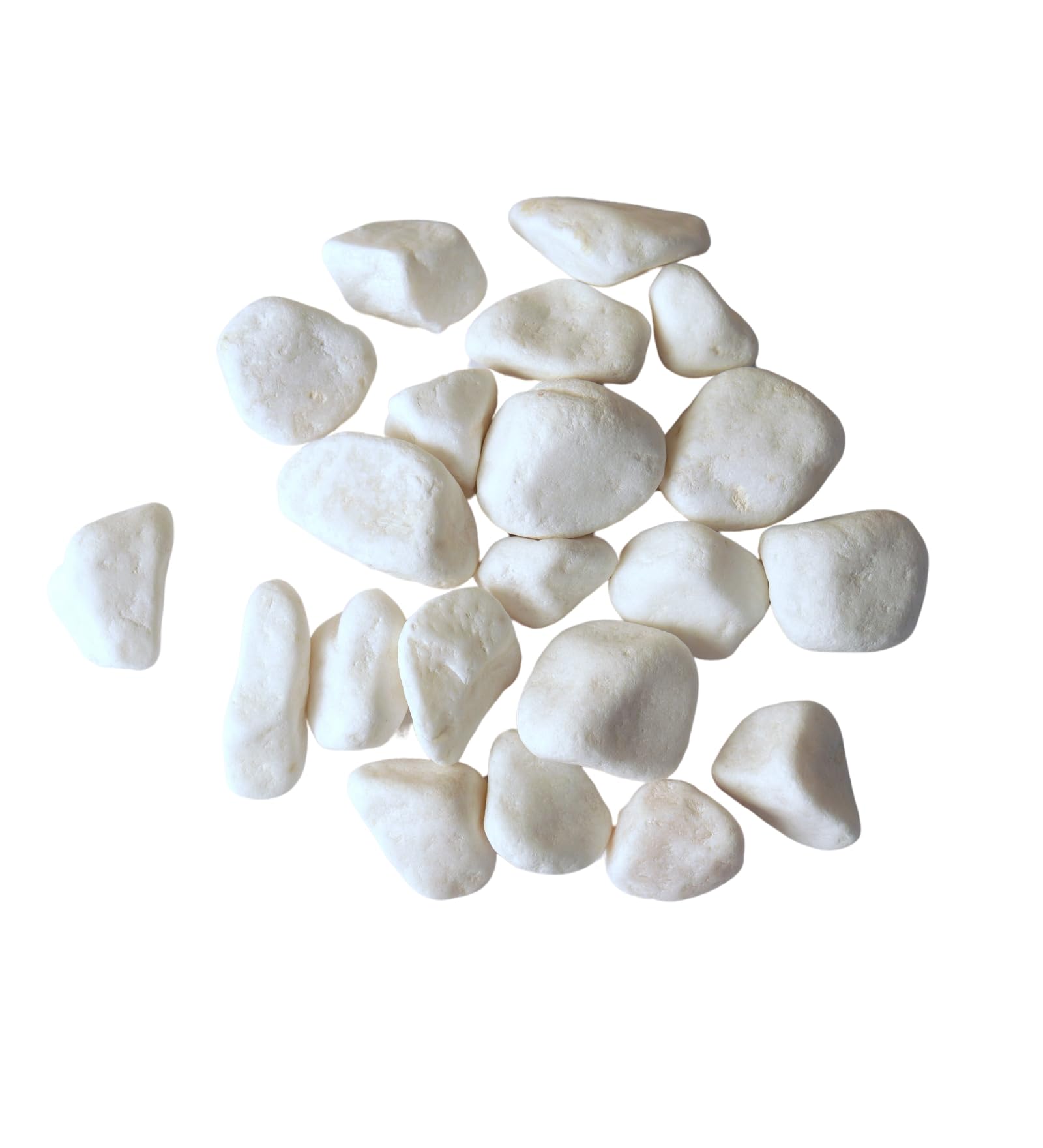 Premsons® Rough Decorative Pebbles - White Stones - For Aquariums Garden Lawn Plant Pots Vases Filler Home Office Decor Fish Tank - Smooth & Round River Rocks - Large Size 2.5-4 cm - 1.5 kg Pack-image-5