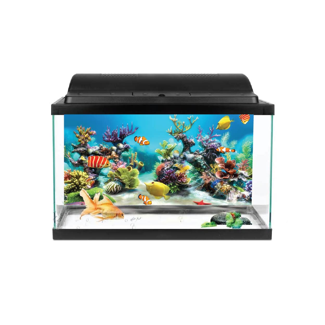 VVWV® Golden Fish Aquarium Background Stickers for Fish Tank Waterproof Vinyl Printed Multicolored Sticker (61 x 30 CMS) (B0BWFH2PGZ) Amazon Price History, Amazon Price Tracker