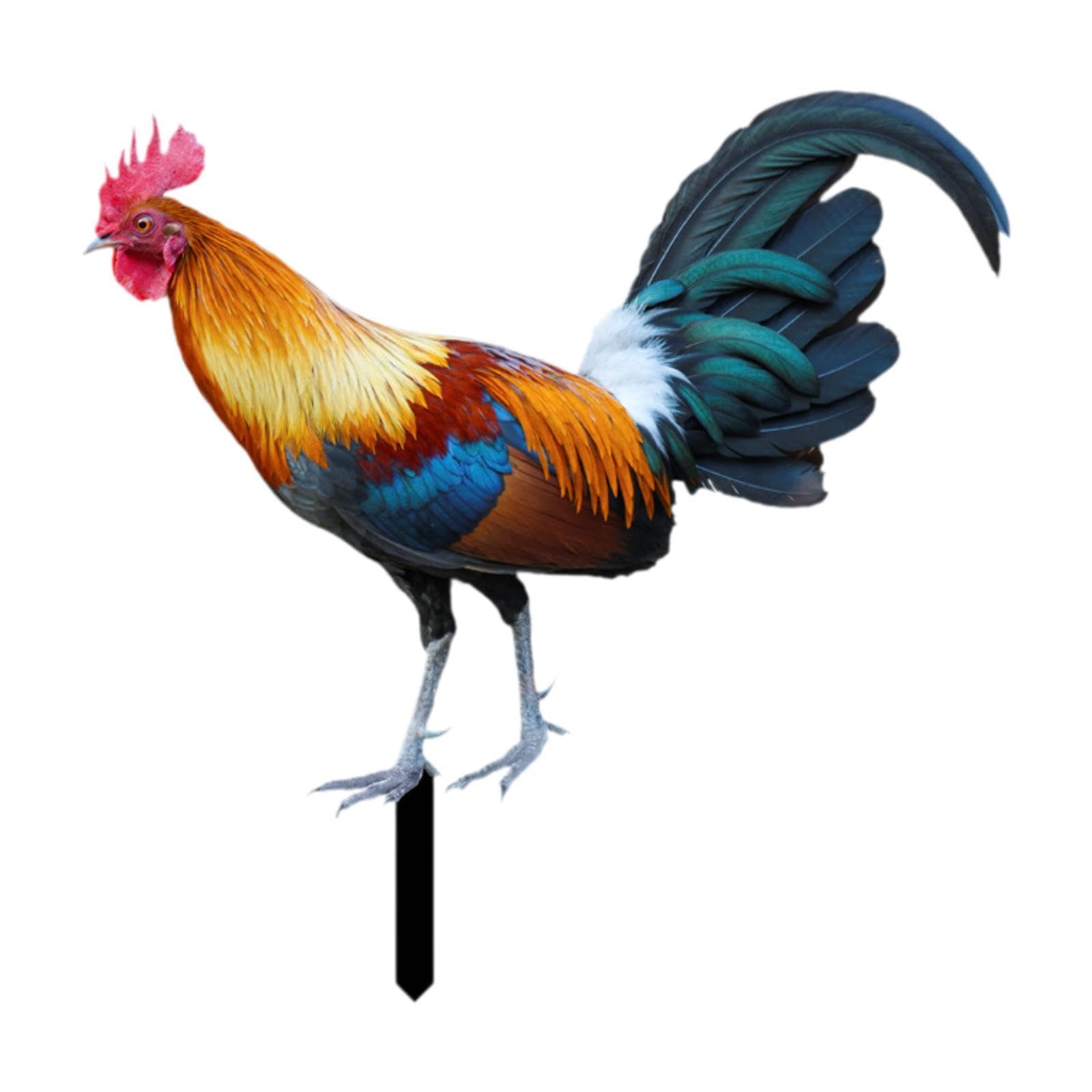 Coq de jardin en acrylique décoration allée de ferme