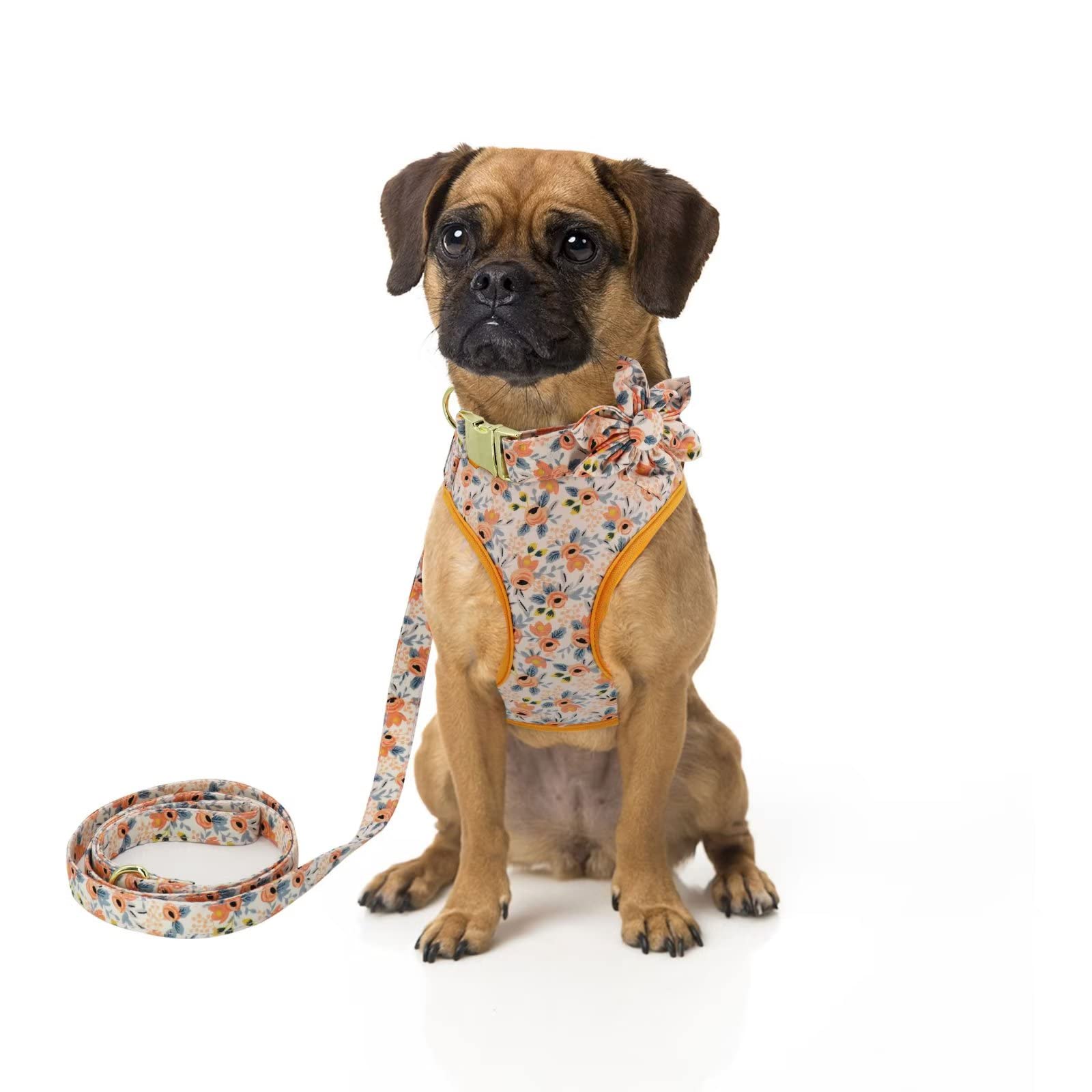 Beirui Bonito juego de collares, arneses y correas para perro, juego de collar y correa ajustable para perro con flor, arnés de malla suave para perros pequeños y medianos (naranja, M)