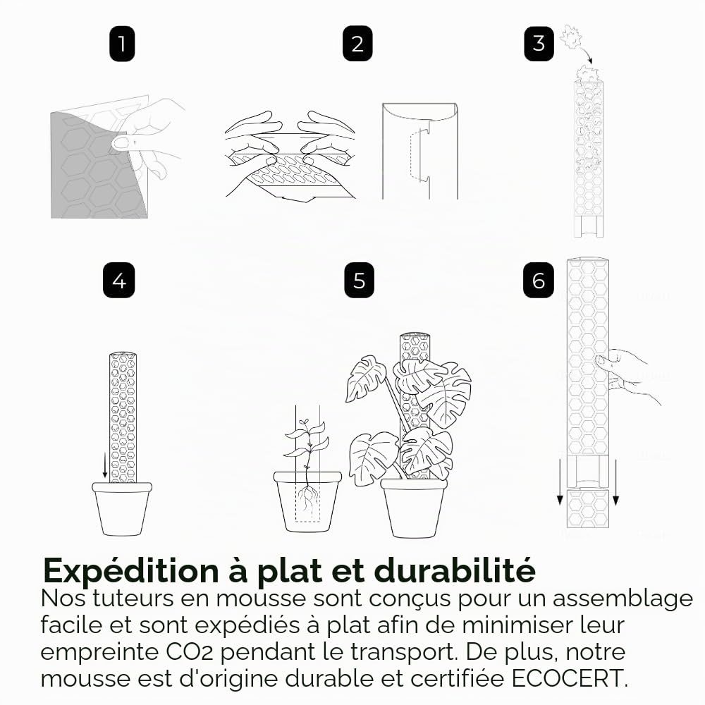 tuteur en sphaigne pour Monstera - Lot de 5 Tuteurs 39 x 6 cm Extensibles en Mousse de sphaigne - Idéal pour Monstera deliciosa et aroïdes - Supports en Mousse pour Plantes grimpantes