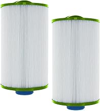 Guardian Pool Spa Filter 2 Pack Replaces- PLEATCO PTL18P4 Dream Maker Gatsby SPA unicel 4CH-21 HOT TUB Cartridge filbur FC-0136