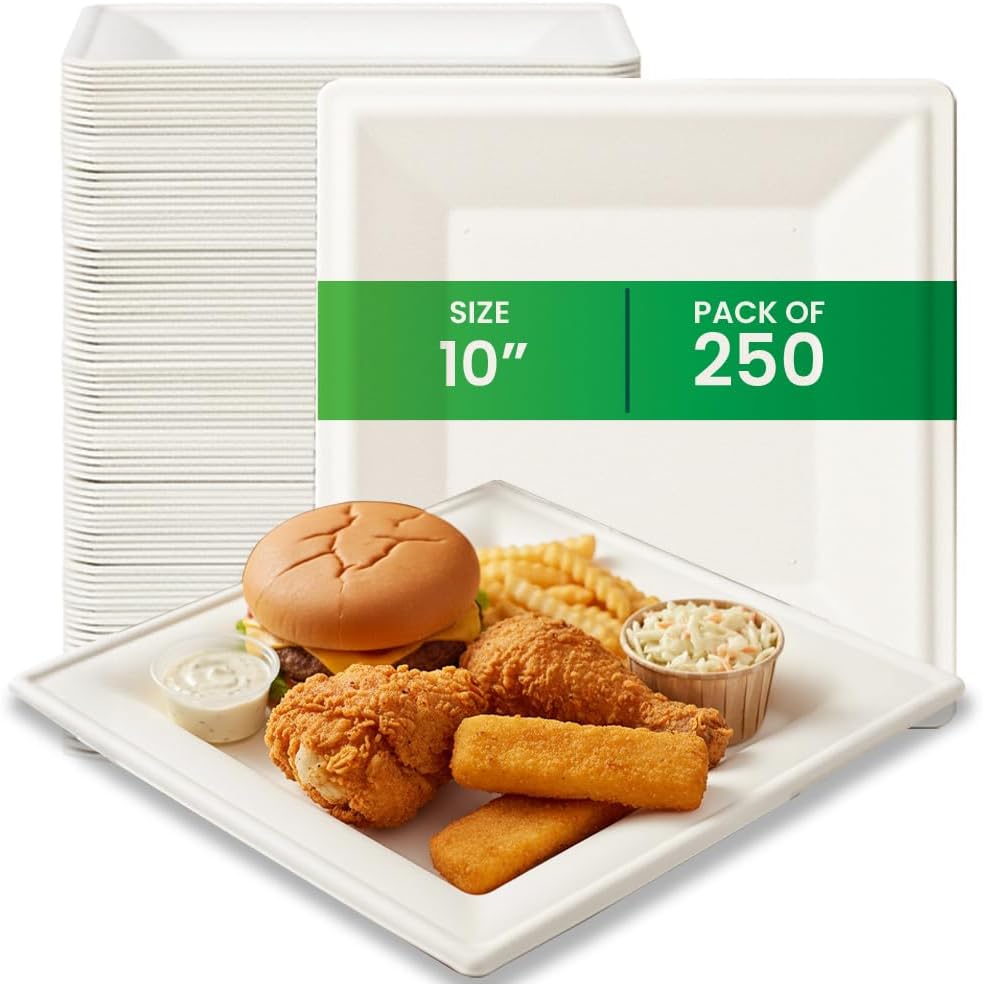 Compostable Square Plates 10in 250 pack, Biodegradable Eco-Friendly Dinnerware, Disposable Party Plates for Hot & Cold Food