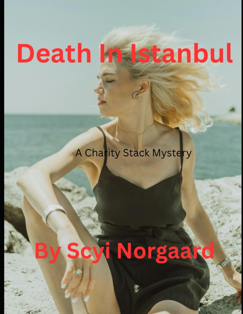 Death In Istanbul: A Charity Stack Mystery