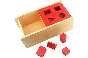 DANNI Montessori Baby Imbucare Box with Flip Lid - Engaging Educational Toy for Preschoolers