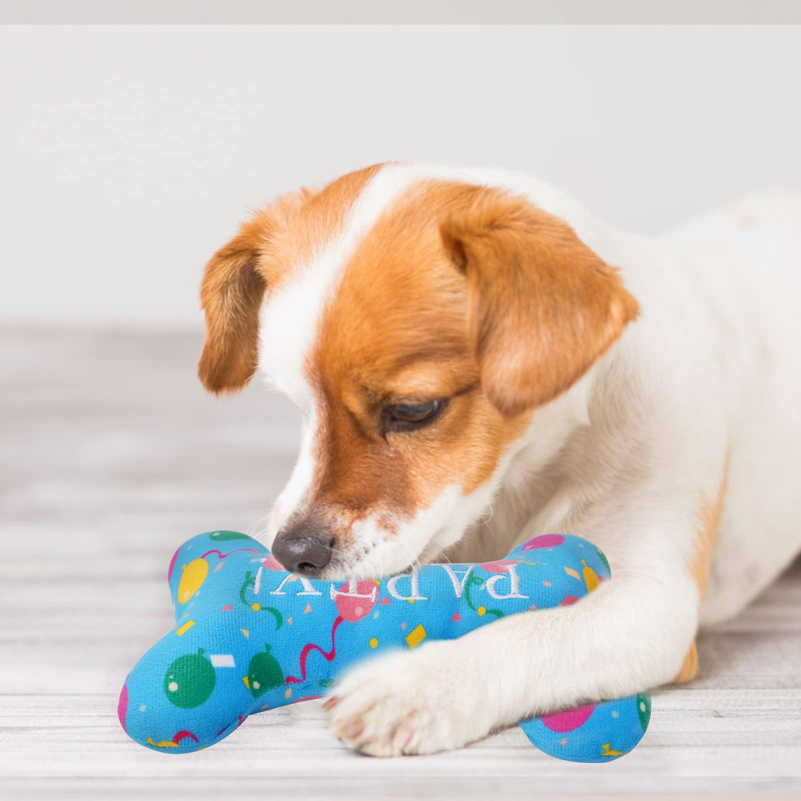 SCENEREAL Giocattoli Squeak per cani di piccola taglia